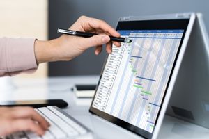 Strategic Project Management for Senior Project Managers